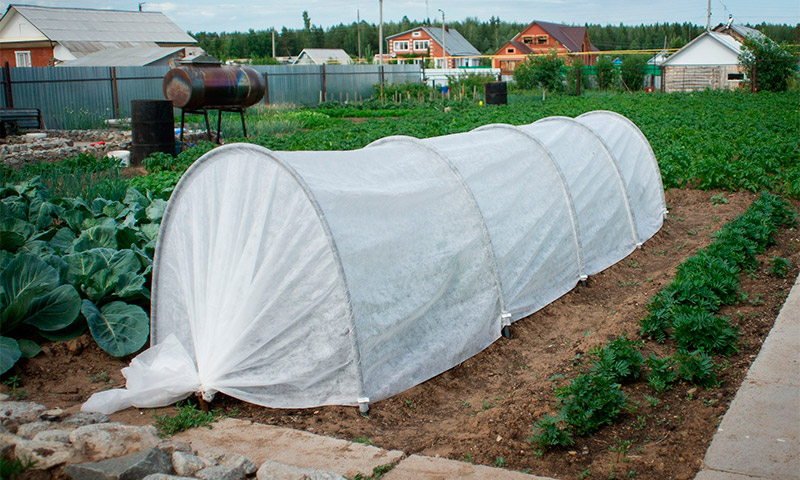 Prekrasna vikendica s krevetom - pregledi i preporuke ljetnih stanovnika