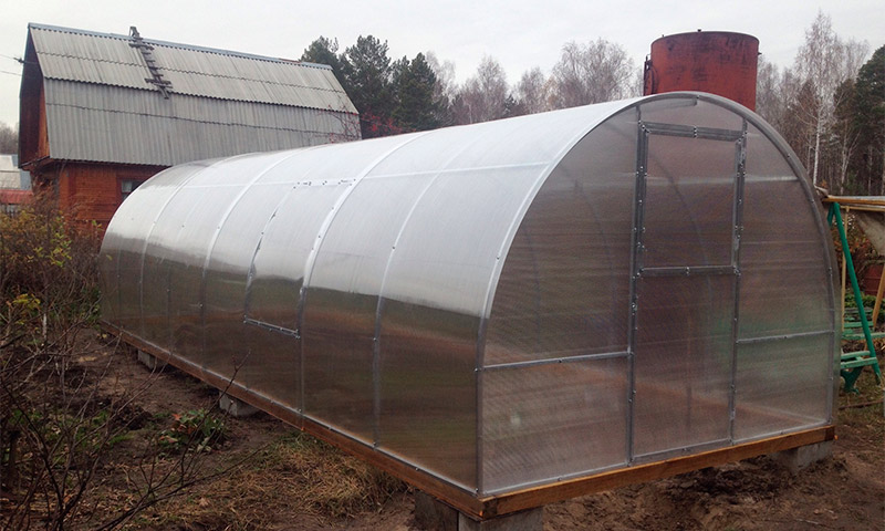 Greenhouse Dachnitsa - beoordelingen en beoordelingen voor het gebruik