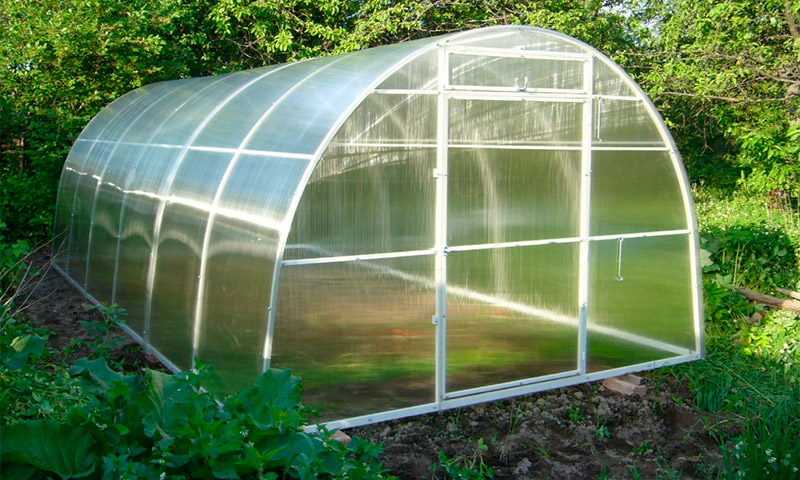 Greenhouse Kama - beoordelingen en meningen van groentetelers